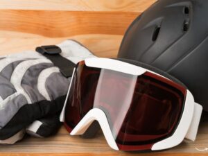 Ultimate Guide to Dog Sports Gear: Everything You Need to Know