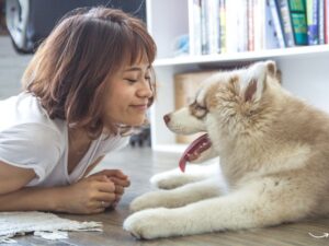 Abandoned Pet Laws: Understanding the Legal Consequences and Responsibilities