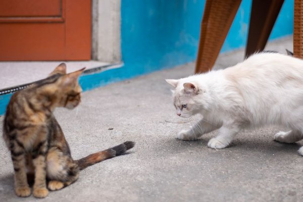 era vs fip